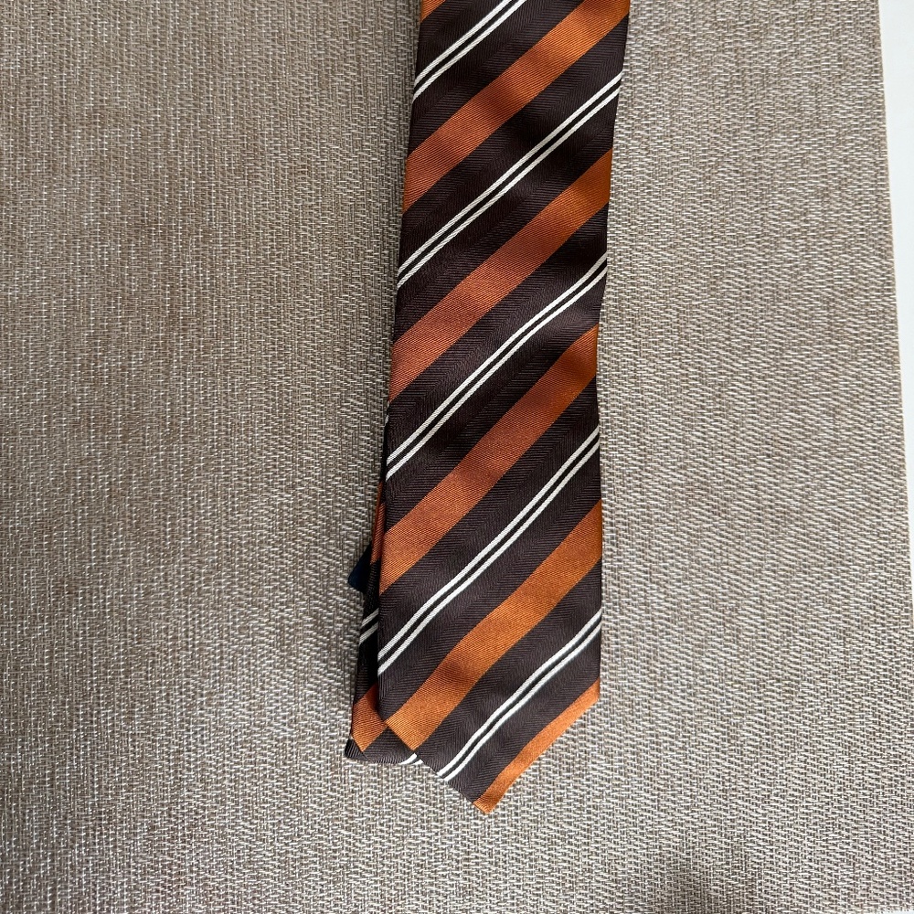 Pal Zileri 100% Silk Tie – Made in Italy